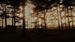 Stylish flat by the beach with stunning sea views - 5