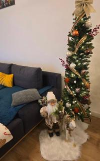 Apartman Marjanović Palić - 0