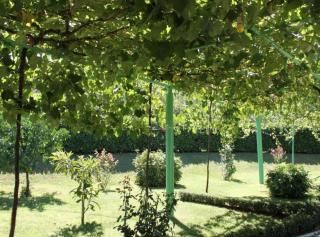 Elez Serenity Guesthouse - 5