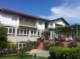 Elez Serenity Guesthouse - 4