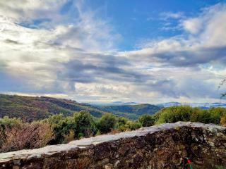 Nocini di Maremma - Tatti - 6