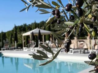 Villa Torresassa con piscina - 8