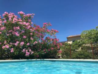 Villa spacieuse avec piscine à Saint-Michel-d'Euzet - 7