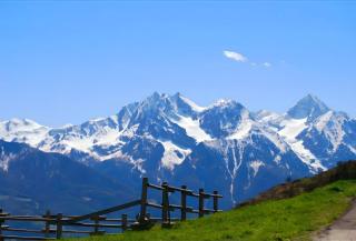 Le Nid des Rouges Gorges - 2
