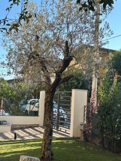 Brixia Garda Homes - 5