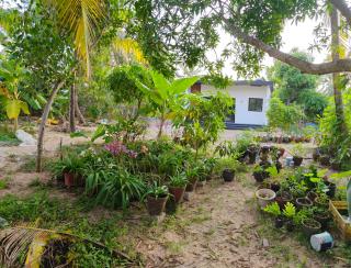 Gripzy Hideaway - Trivandrum - 0