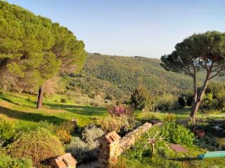 Nocini di Maremma - 7