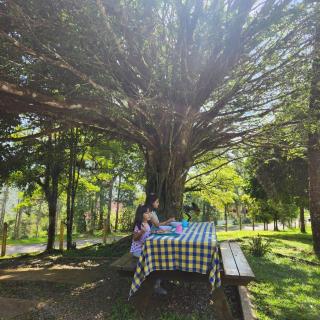 La Dama de los vientos - 4