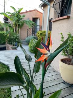 Coup de cœur, Ôverger, aux portes de Toulouse - 4