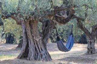 Guesthouse Las Hamacas Abruzzo - 3