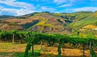 Guesthouse Las Hamacas Abruzzo - 1