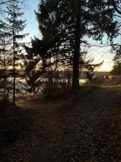 60m2 studio w sauna in a semi-detached house in Lapinkangas - 6