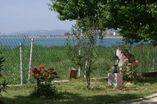 Family friendly seaside apartments Povljana, Pag - 230 - 1