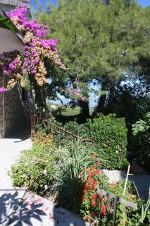 Apartments with a parking space Jelsa, Hvar - 5728 - 1