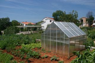 Apartment Pinezici 5464b - 1