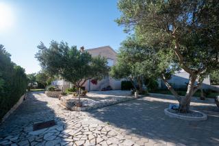 Apartments with parking space Povljana, Pag - 6298 - 2