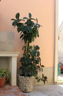 Apartments by the sea Pisak, Omis - 7521 - 1