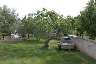 Apartments and rooms by the sea Vodice - 6182 - 1