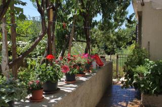 Apartments with parking space Veli Losinj, Losinj - 8060 - 1