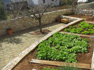 Apartments with a parking space Tribunj, Vodice - 13174 - 1