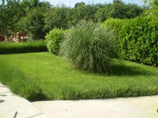 Apartments by the sea Zaton, Zadar - 15917 - 1