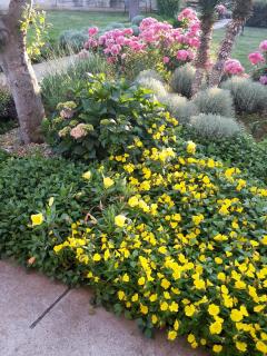 Apartments by the sea Zaton, Zadar - 15917 - 2