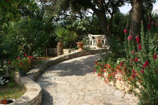 Apartments with parking space Mandre, Pag - 4075 - 1