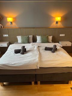 Little Rose - modern, central with WiFi & parking - 5