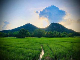 Thalpathwewa Cave Temple - 6