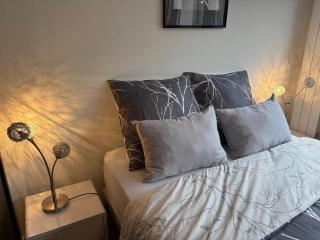 Magnifique logement hyper centre Mulhouse Lambert - 3