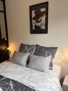 Magnifique logement hyper centre Mulhouse Lambert - Mulhouse - 2