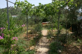 Apartments by the sea Vrgada, Biograd - 4206 - 1