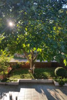 Apartments with parking space Supetar, Brac - 17045 - Supetar (San Pietro di Brazza) - 3