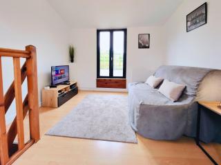 Loft in Old Lille with lovely terrace - 1