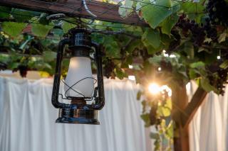 Apartments with parking space Lopar, Rab - 18388 - 1