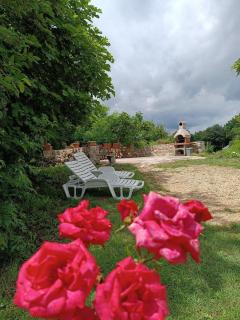 Apartments with parking space Jurazini, Central Istria - Sredisnja Istra - 23748 - 1