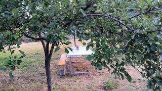 Family friendly house with a parking space Maovice, Zagora - 24306 - 3