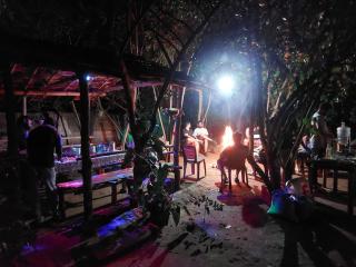 Jungle Mist Cottages - Masinagudi - 7