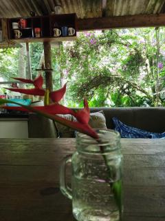 Cabana Cachoeira - 2