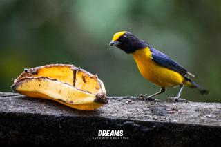 El Toro en Bicicleta - 7