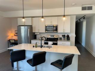 Luxury Downtown Apt with Parking, Gym, and Indoor Pool - 2
