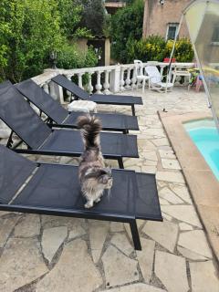 Quartier l'Aubarede - 7