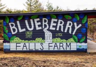 Waterfall Cottage, Hot Tub, Game Room, Fire Pit - 8