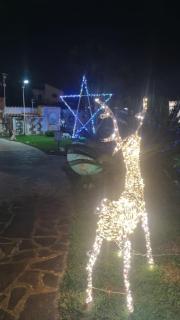 La casa dell'artista - 8