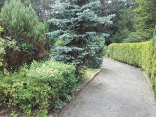 Greifenbachmühle Ehrenfriedersdorf - 2