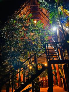 Habarana Tree House - Ivory cottage - 6