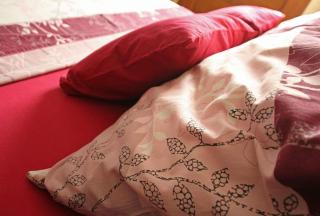 Traditionelles Steinhaus mit Innenhof und Terrasse im Zentrum von Medulin, nicht weit vom Strand entfernt - 4