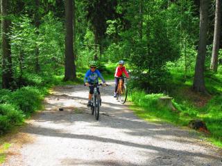 Greifenbachmühle Ehrenfriedersdorf - 1