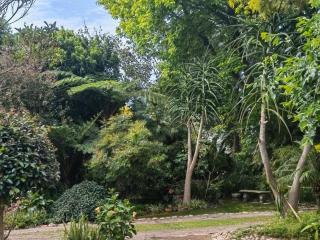 Birdsong Cottage - 4