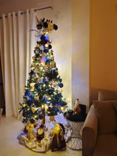 Infinity View, the Apt - 6